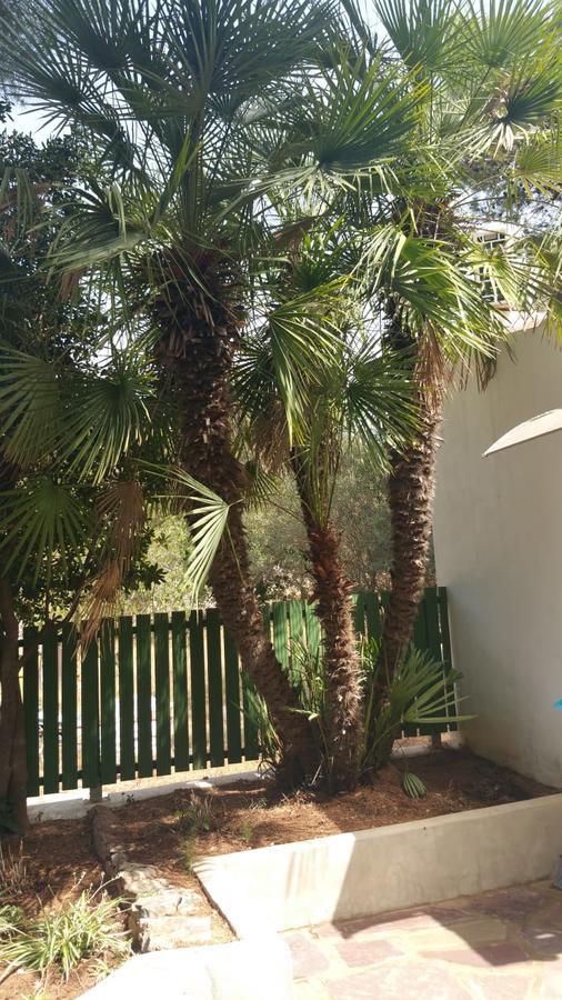 Villa Chabola Dénia Eksteriør billede