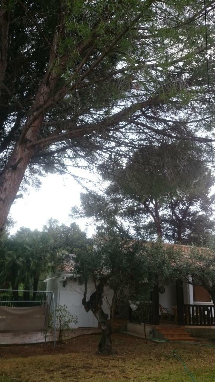 Villa Chabola Dénia Eksteriør billede